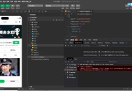 2025最新去水印小程序，免服务器，带流量主和安装教程