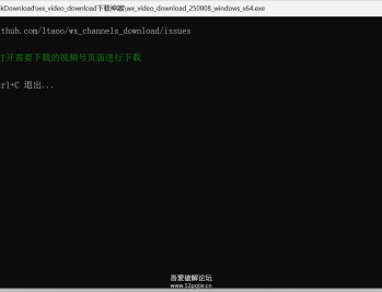 微信视频号下载器 wx_video_download_250808
