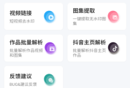 无印 v1.6 视频解析去水印工具，支持多个平台